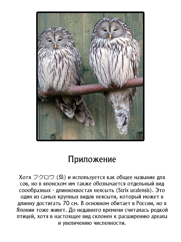 Глава 68, Страница 23