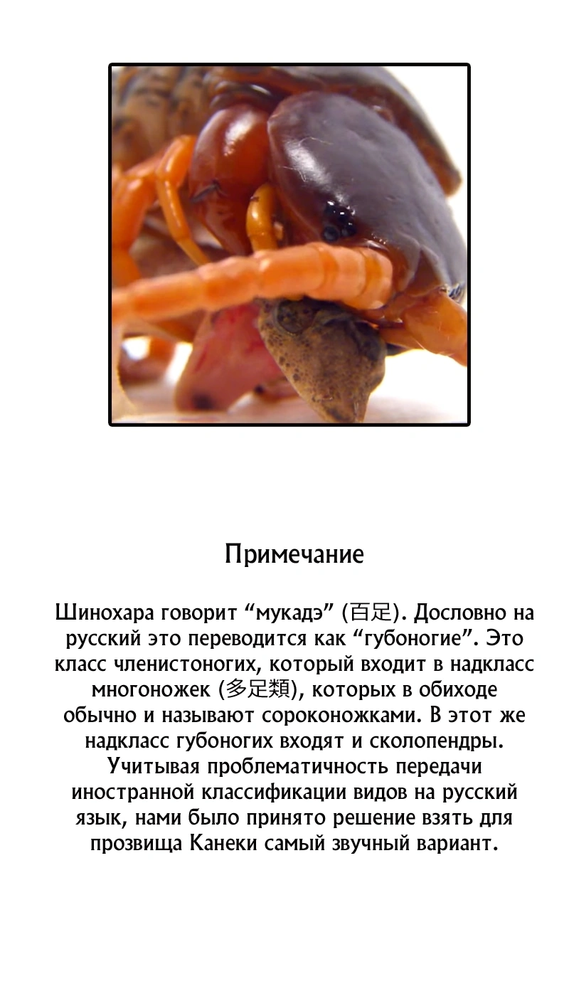 Глава 100, Страница 23